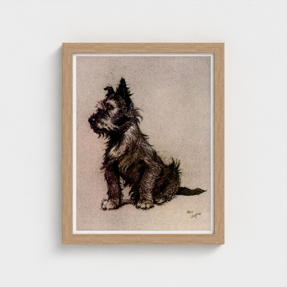 Brandy (1928) by Cecil Aldin – Vintage Terrier Illustration Print
