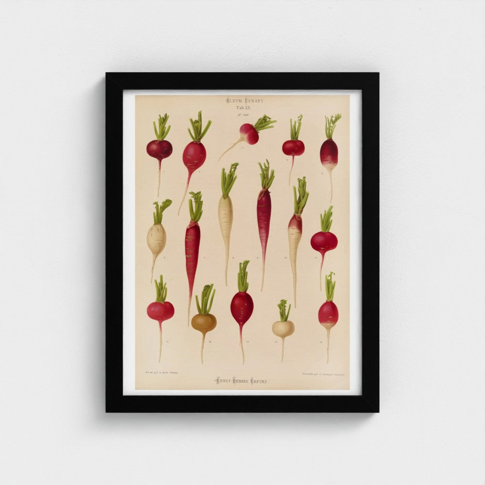 Framed artwork of radishes on a beige background