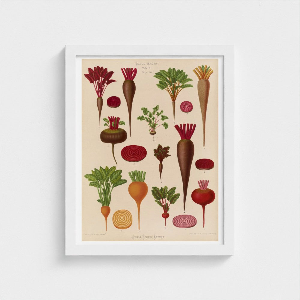 Framed botanical illustration of various root vegetables on a beige background