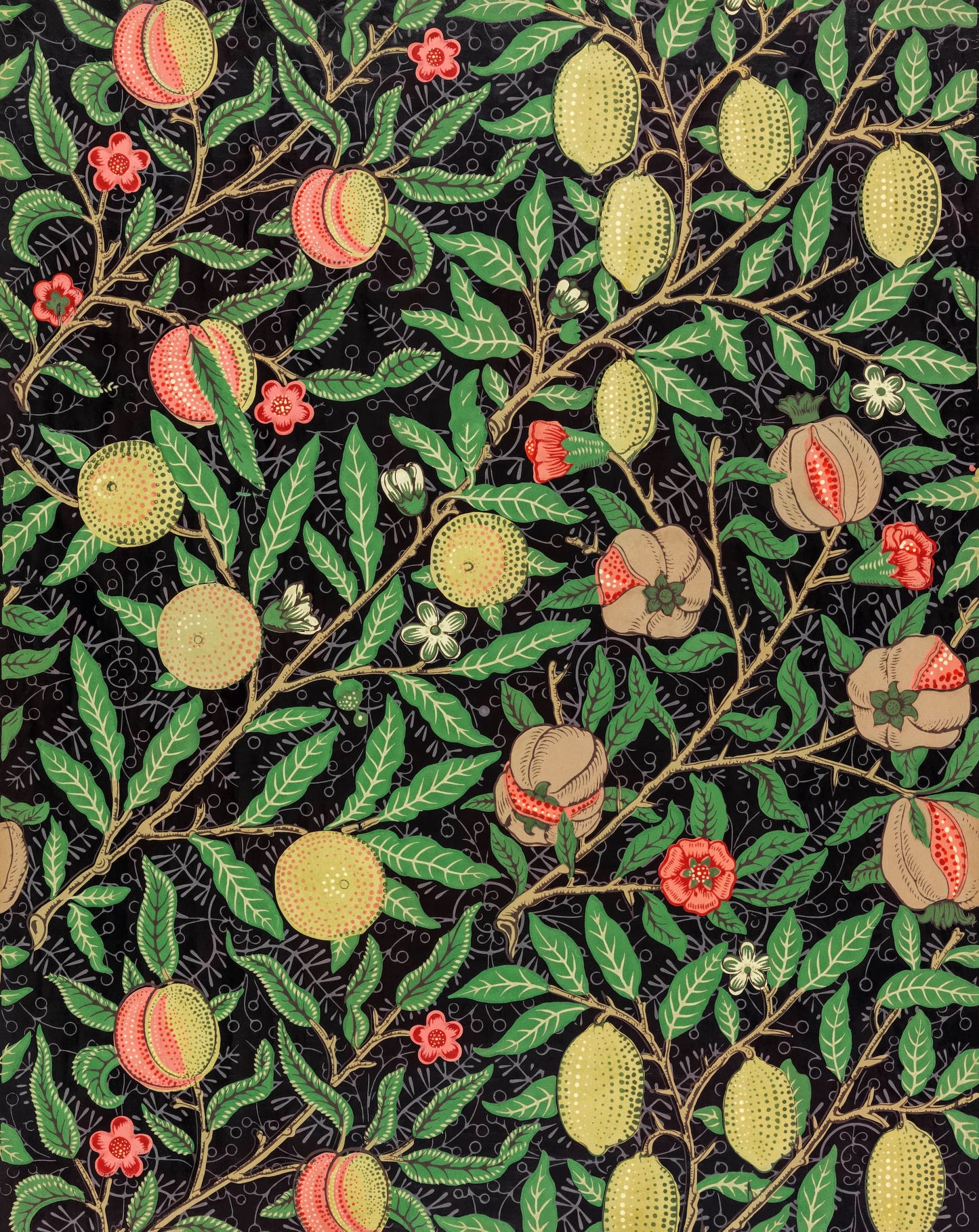 Decorative pattern of fruits and leaves on a black background