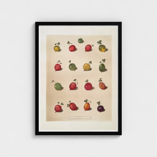 Framed artwork of illustrations of fruits on a beige background