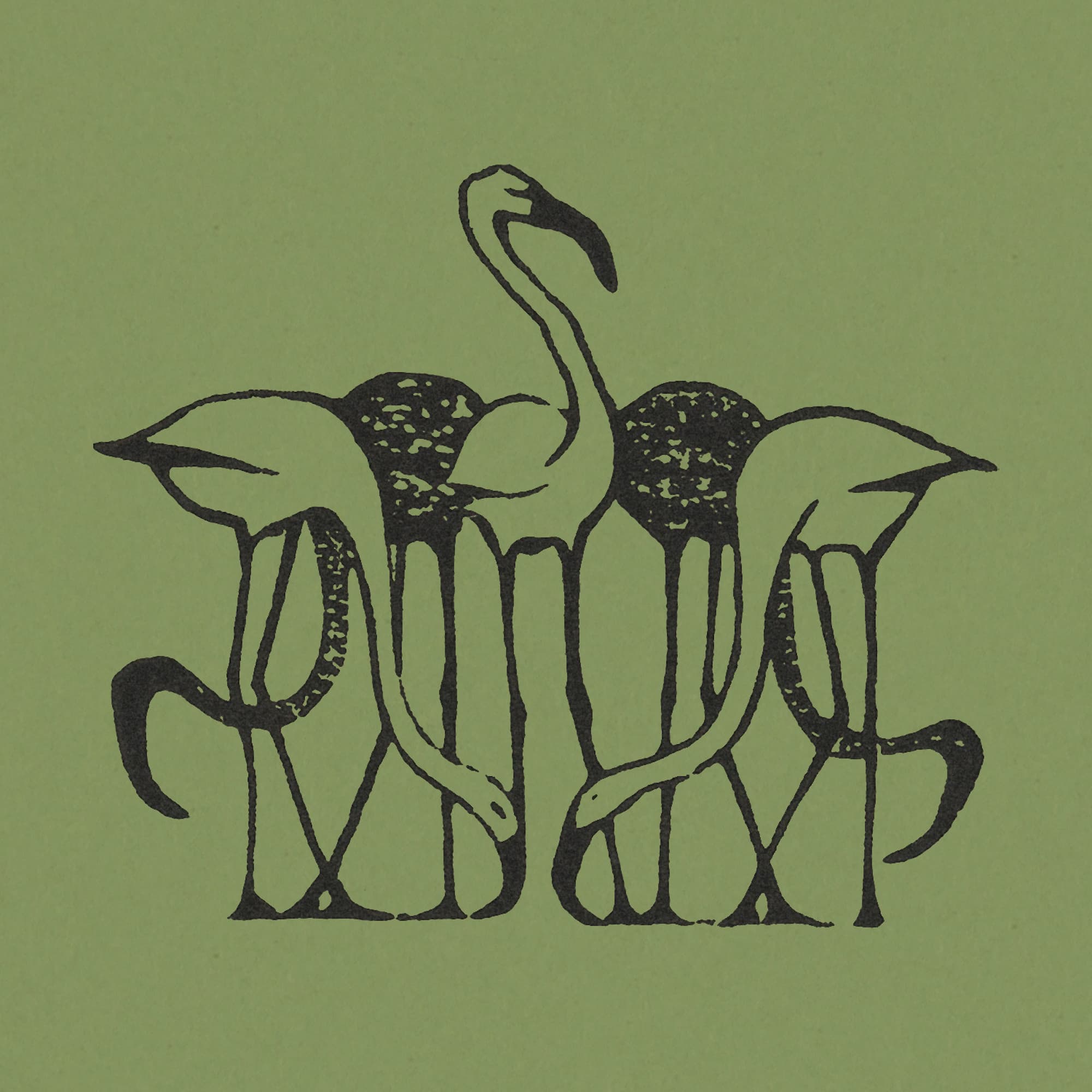 Victorian Bird Prints: 19th Century Natural History Reproductions