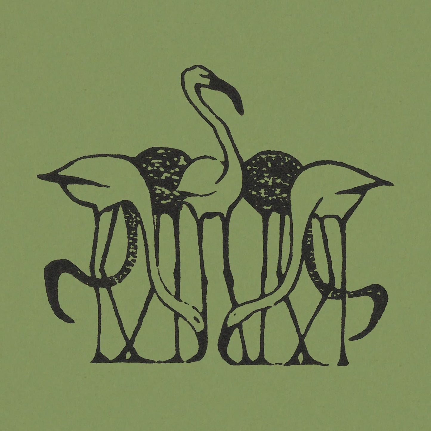 Decorative illustration of flamingos on a green background