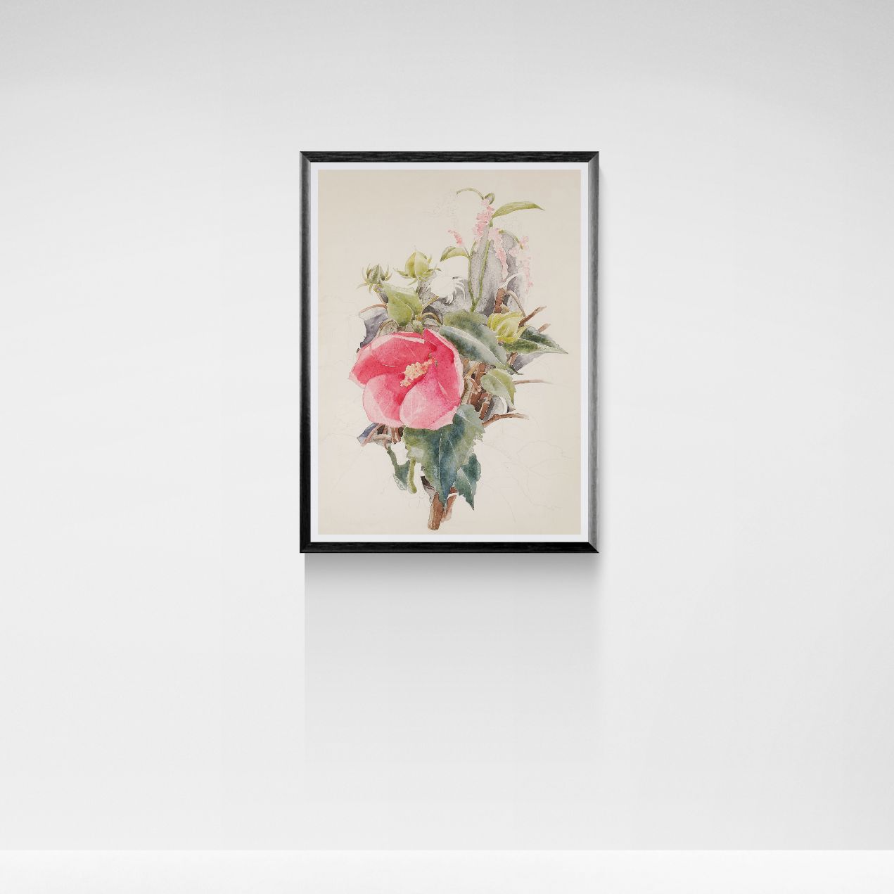 Framed artwork of a pink flower on a white wall