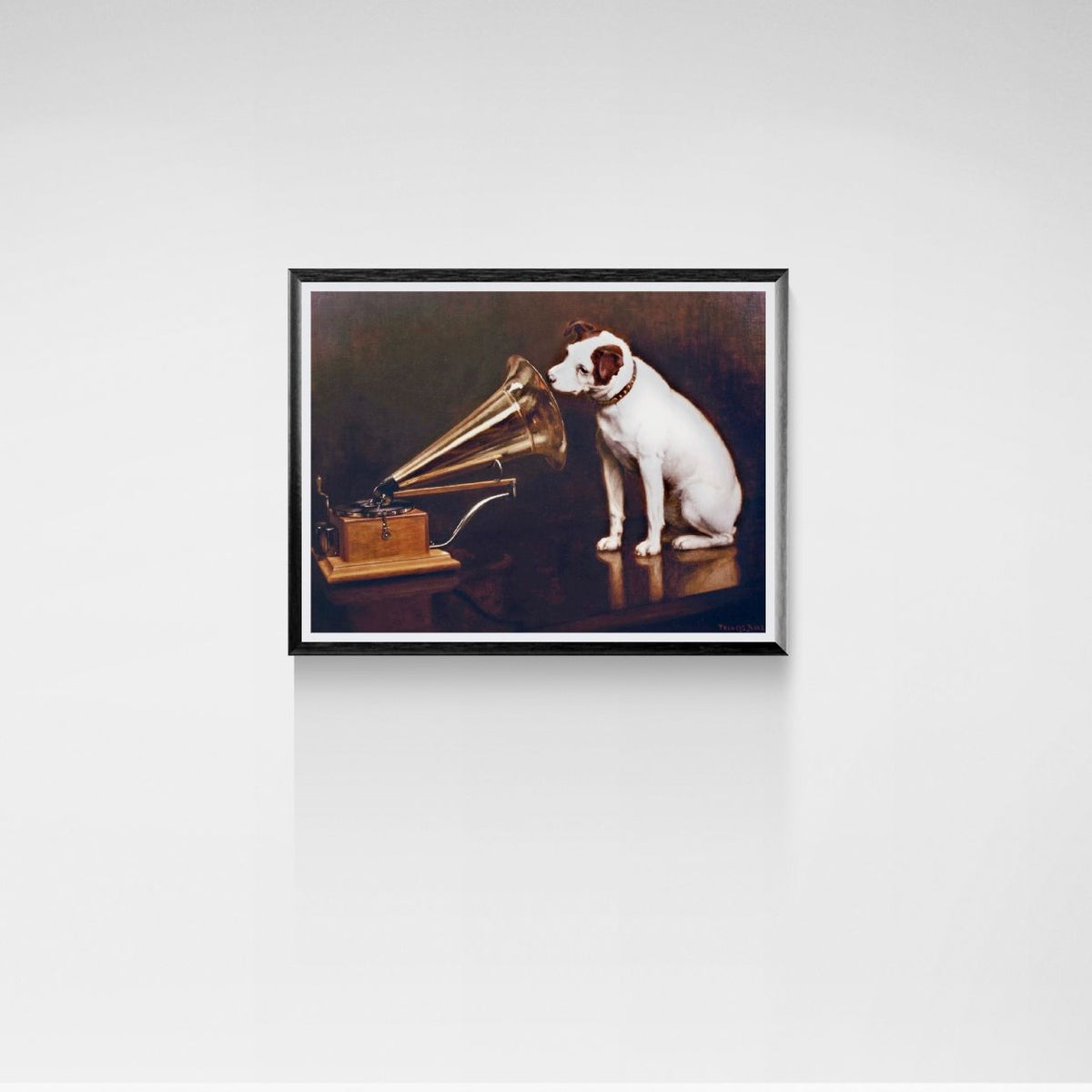 Framed artwork of a dog listening to a gramophone on a white wall.