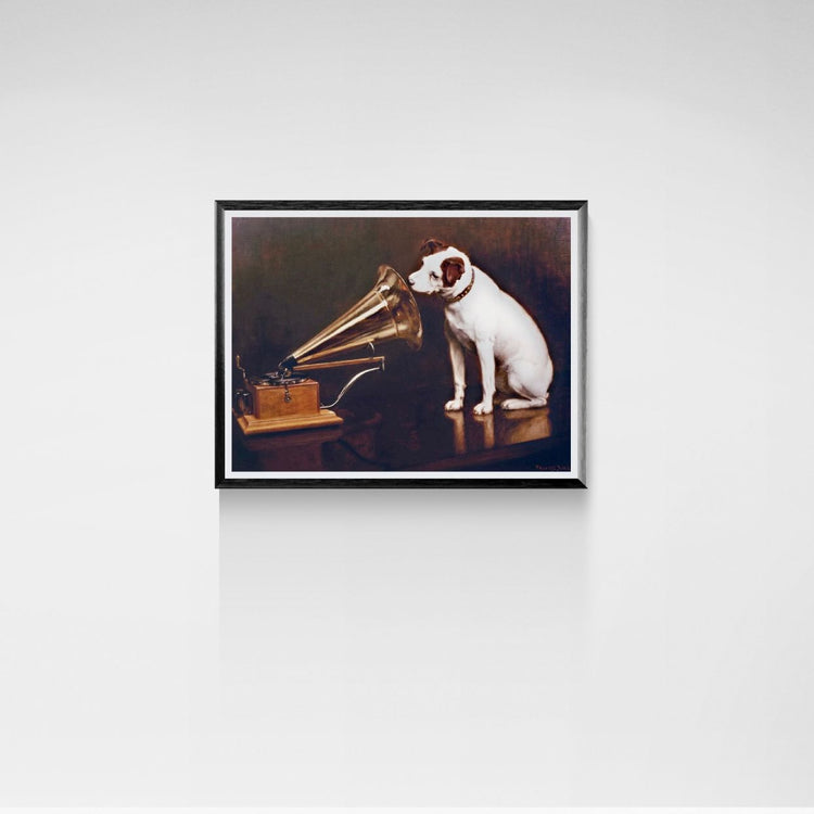 Framed artwork of a dog listening to a gramophone on a white wall.