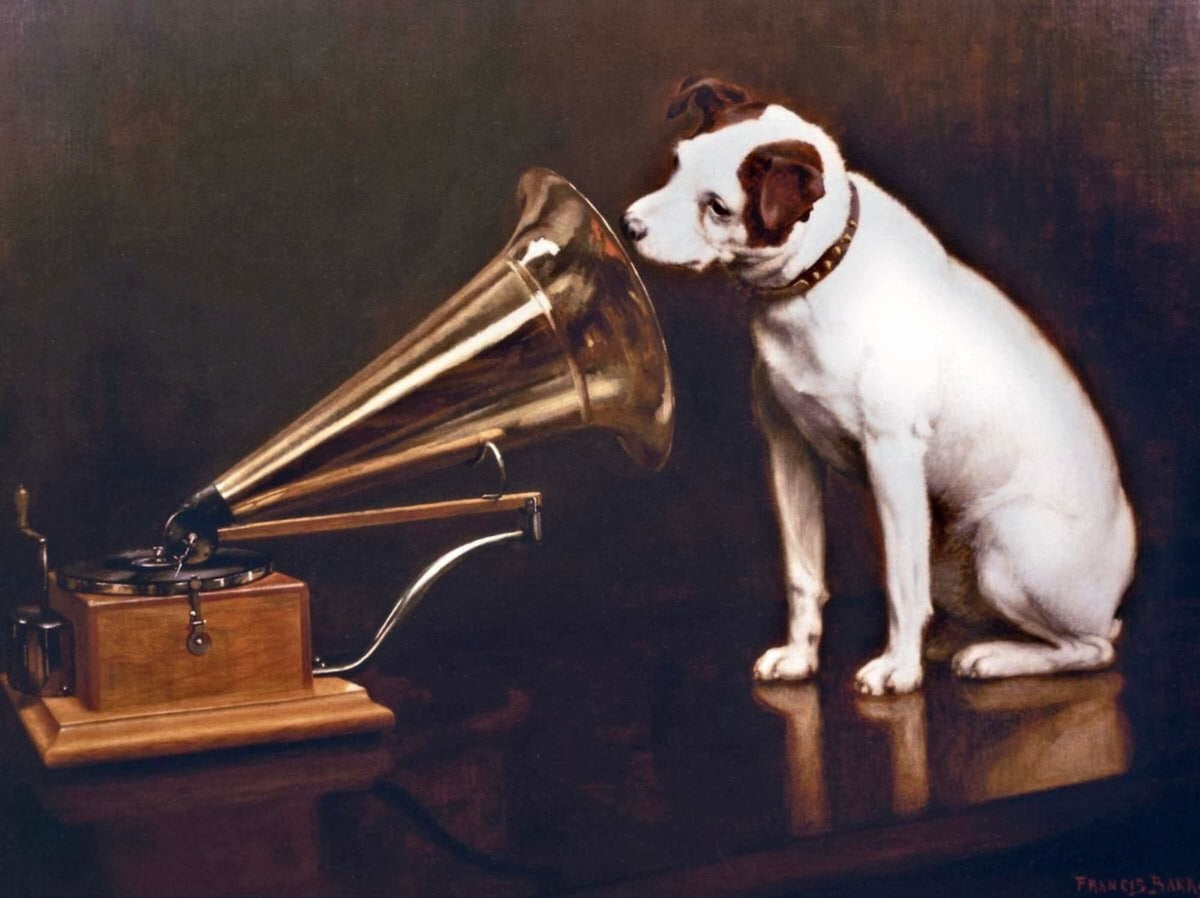 Dog sitting next to a vintage gramophone on a dark background