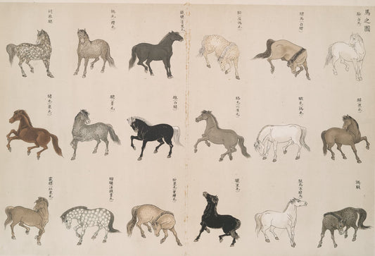 Illustrations of horses in various poses on a traditional paper background
