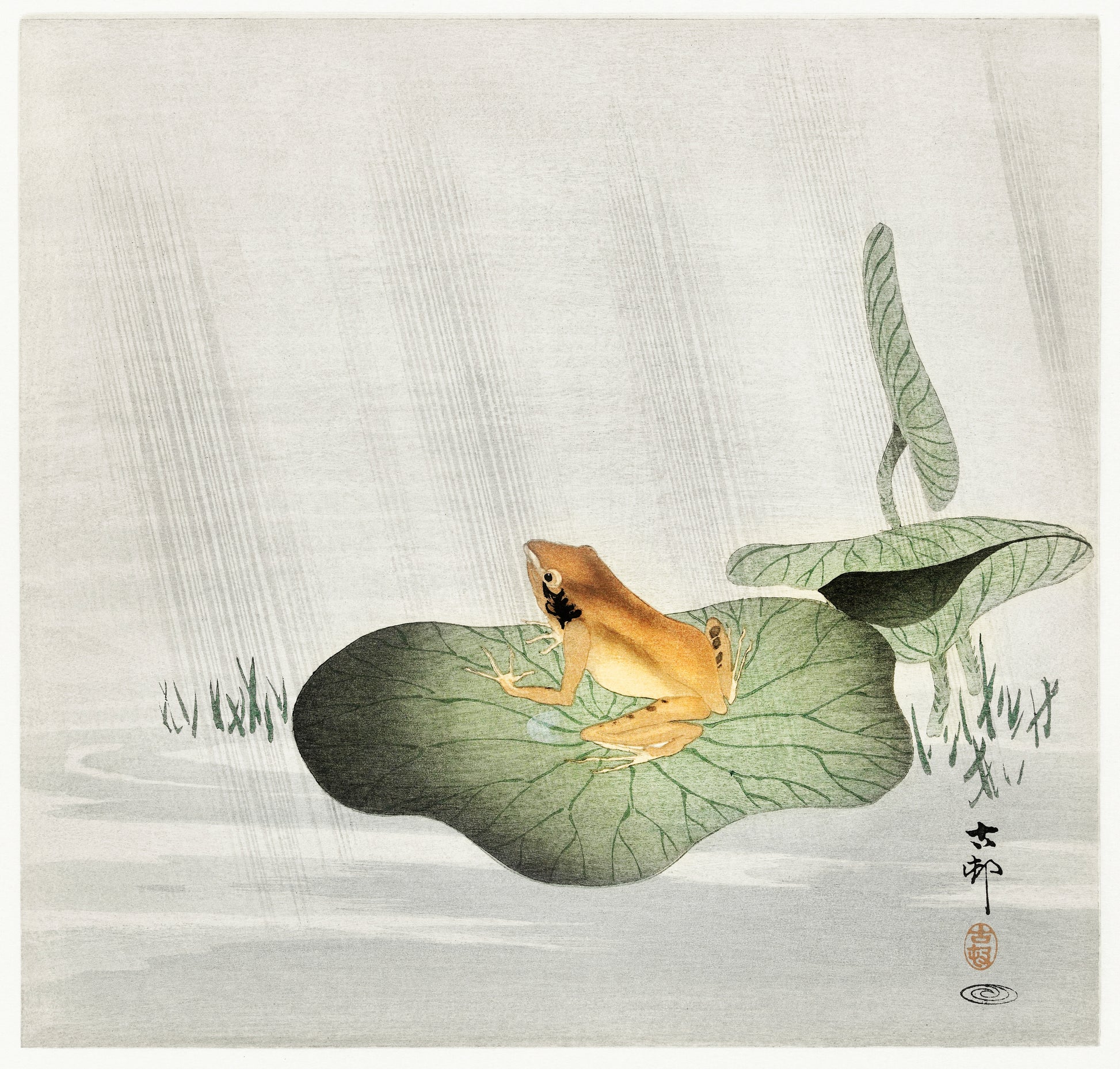 Frog on lotus leaf (1900s) | Ohara Koson artwork