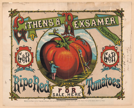 Githens & Rexsamer tomatoes poster, Philadelphia (1800s) | Vintage tomato prints Posters, Prints, & Visual Artwork The Trumpet Shop   