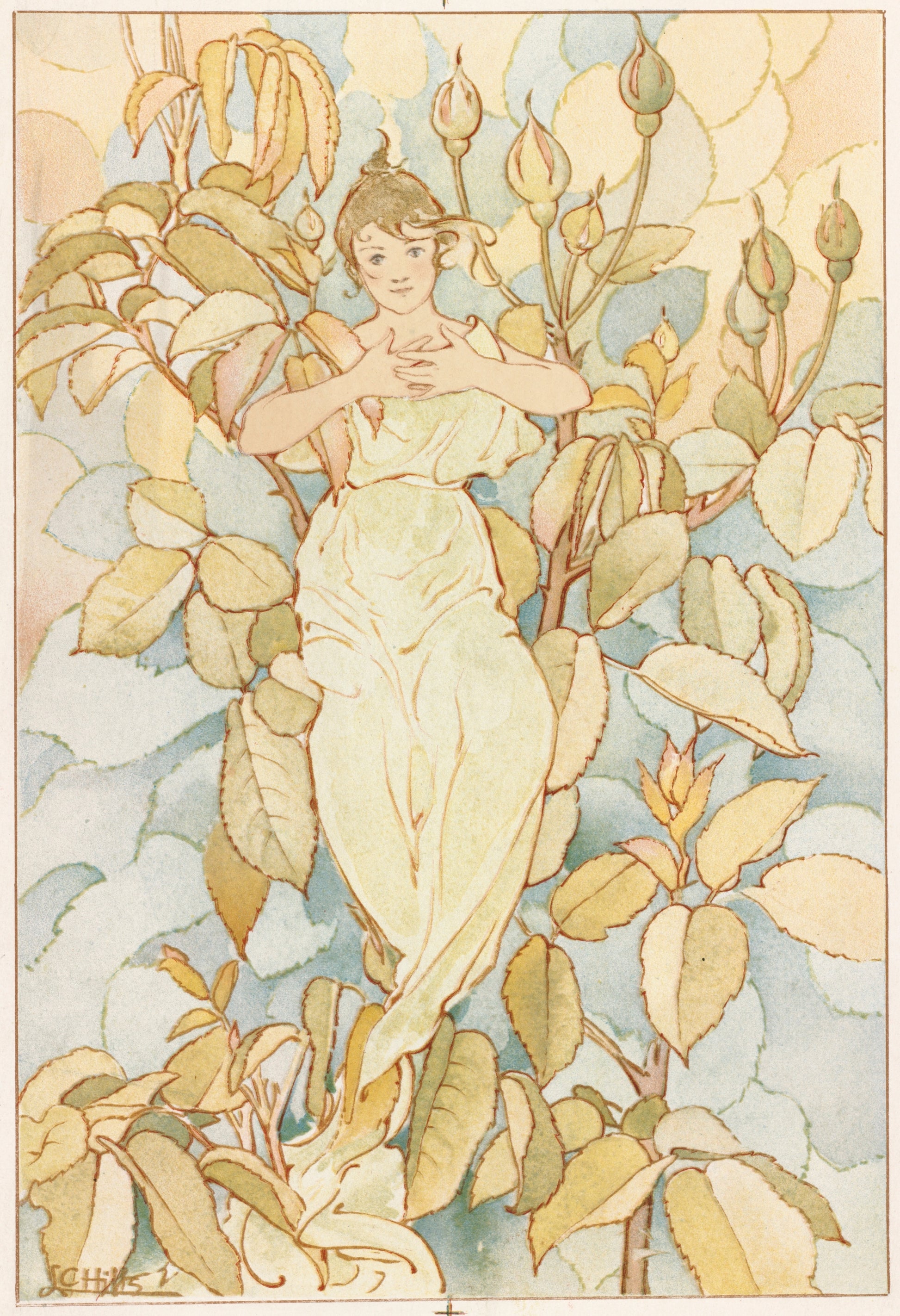 Flower Fairy artwork (2) (1800s) | Laura Coombs Hills prints