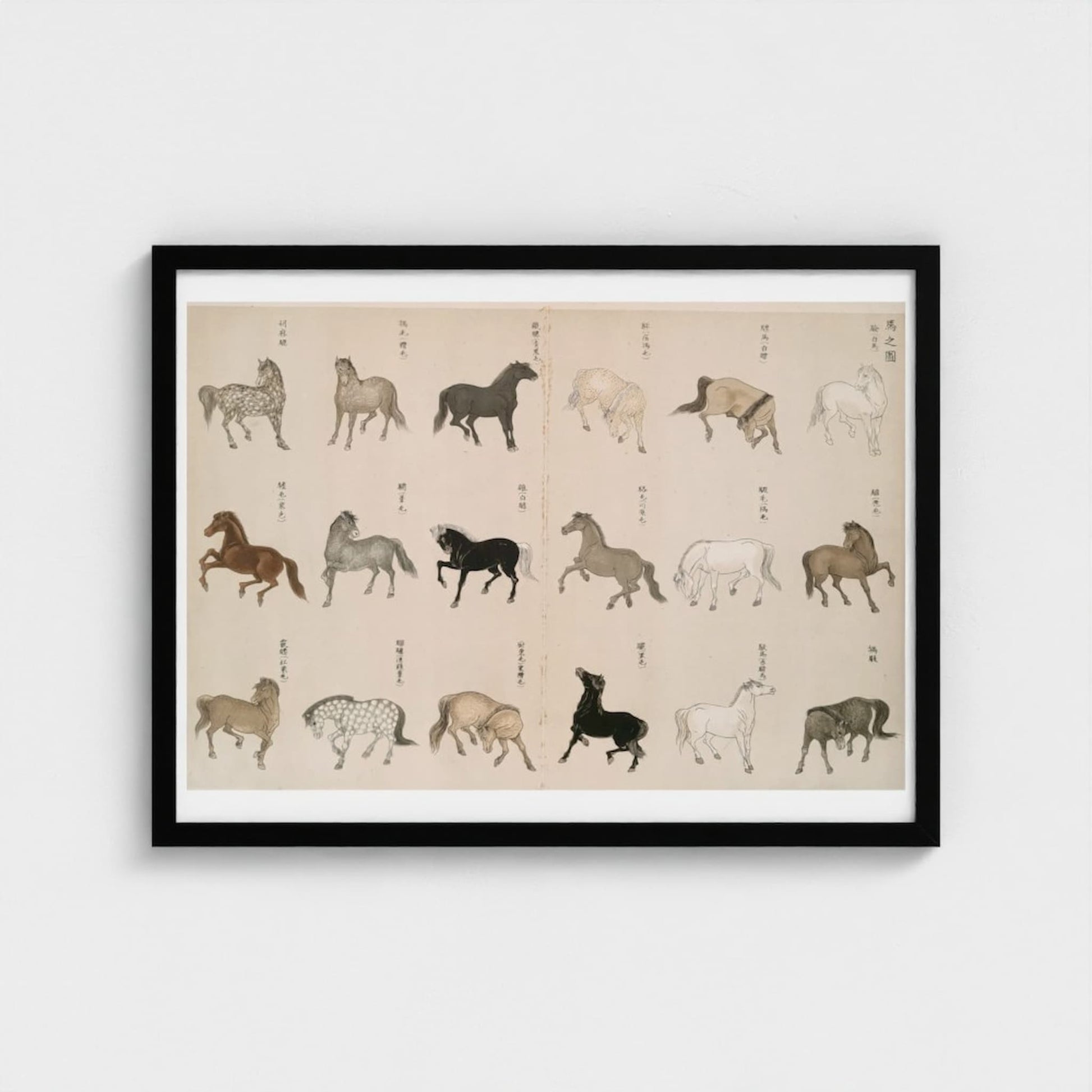 Framed artwork of various horse illustrations on a beige background
