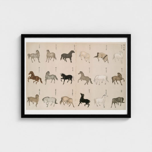 Framed artwork of various horse illustrations on a beige background