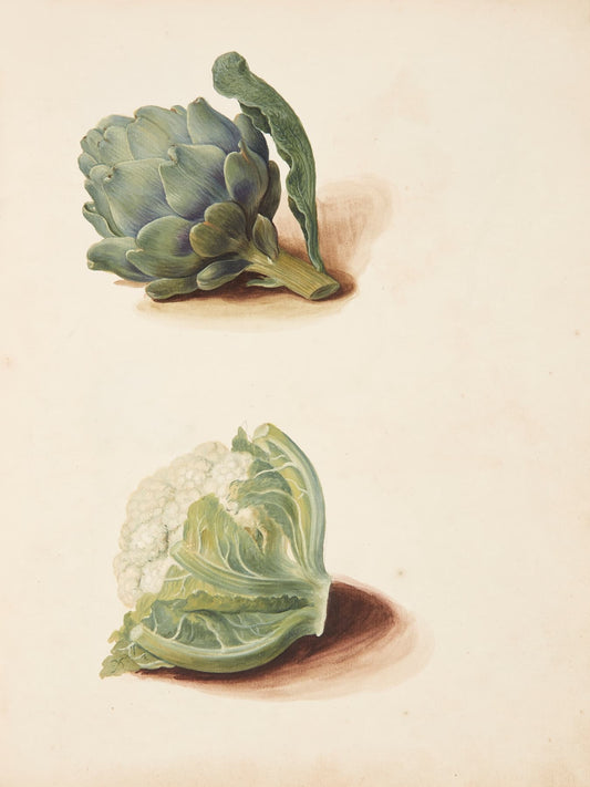 High-quality Giclée reproduction of Johanna Fosie's 1750s botanical illustration, showing a green artichoke and a white cauliflower head, 18th century vegetable still life.