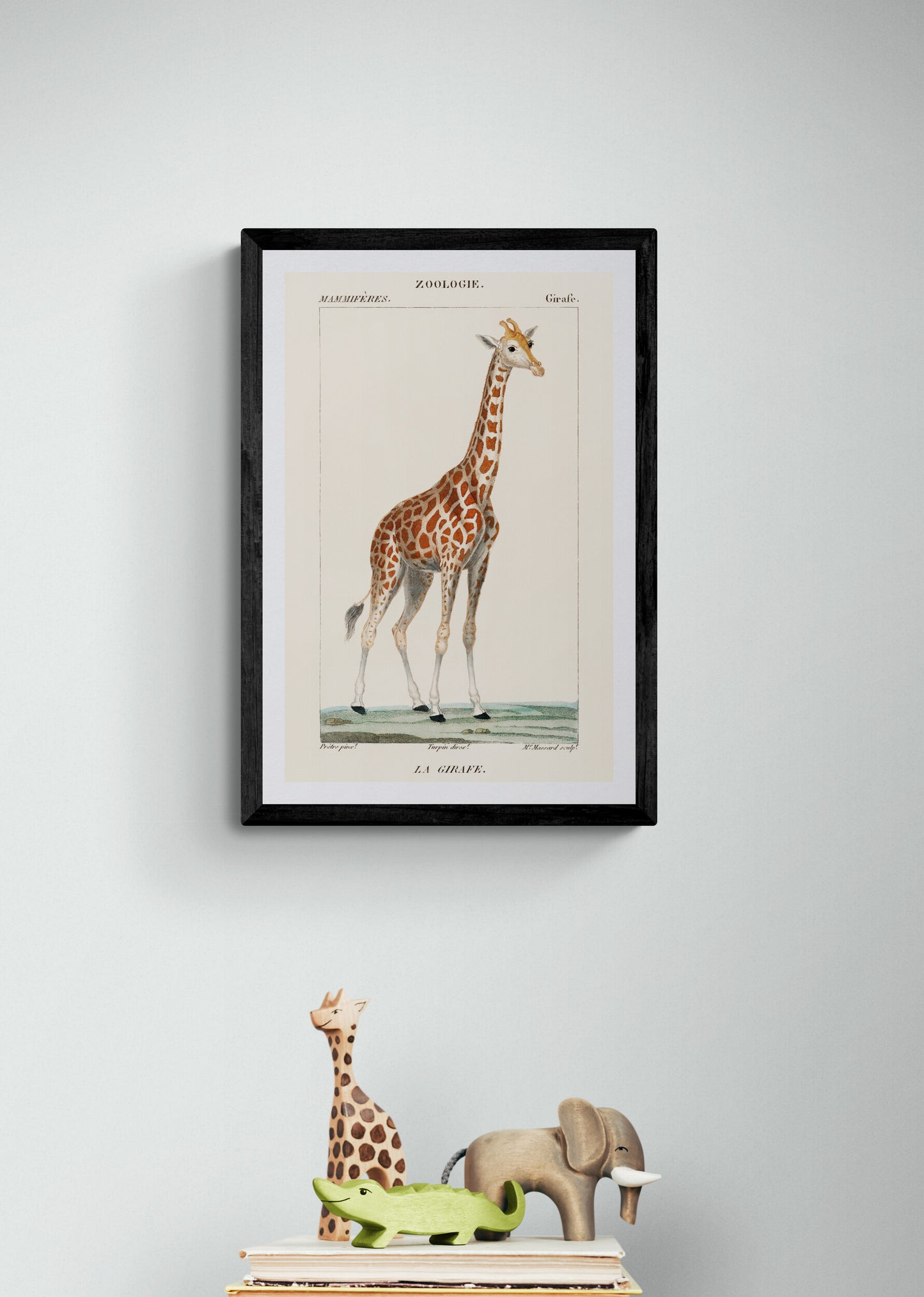 Giraffe from Dictionnaire des Sciences Naturelles (1840) | Pierre Turpin prints