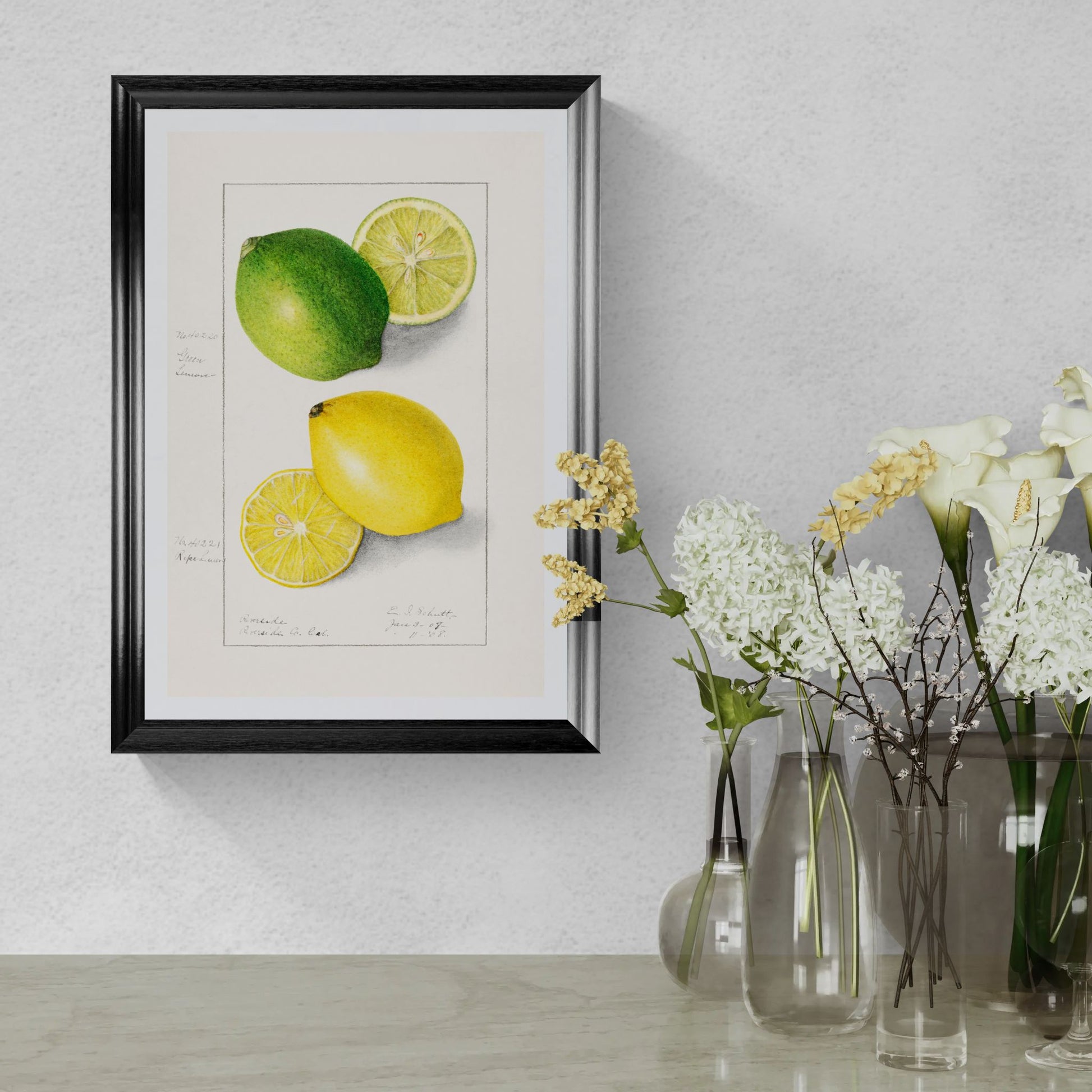 Framed artwork of limes and lemons on a wall with vases of flowers below.