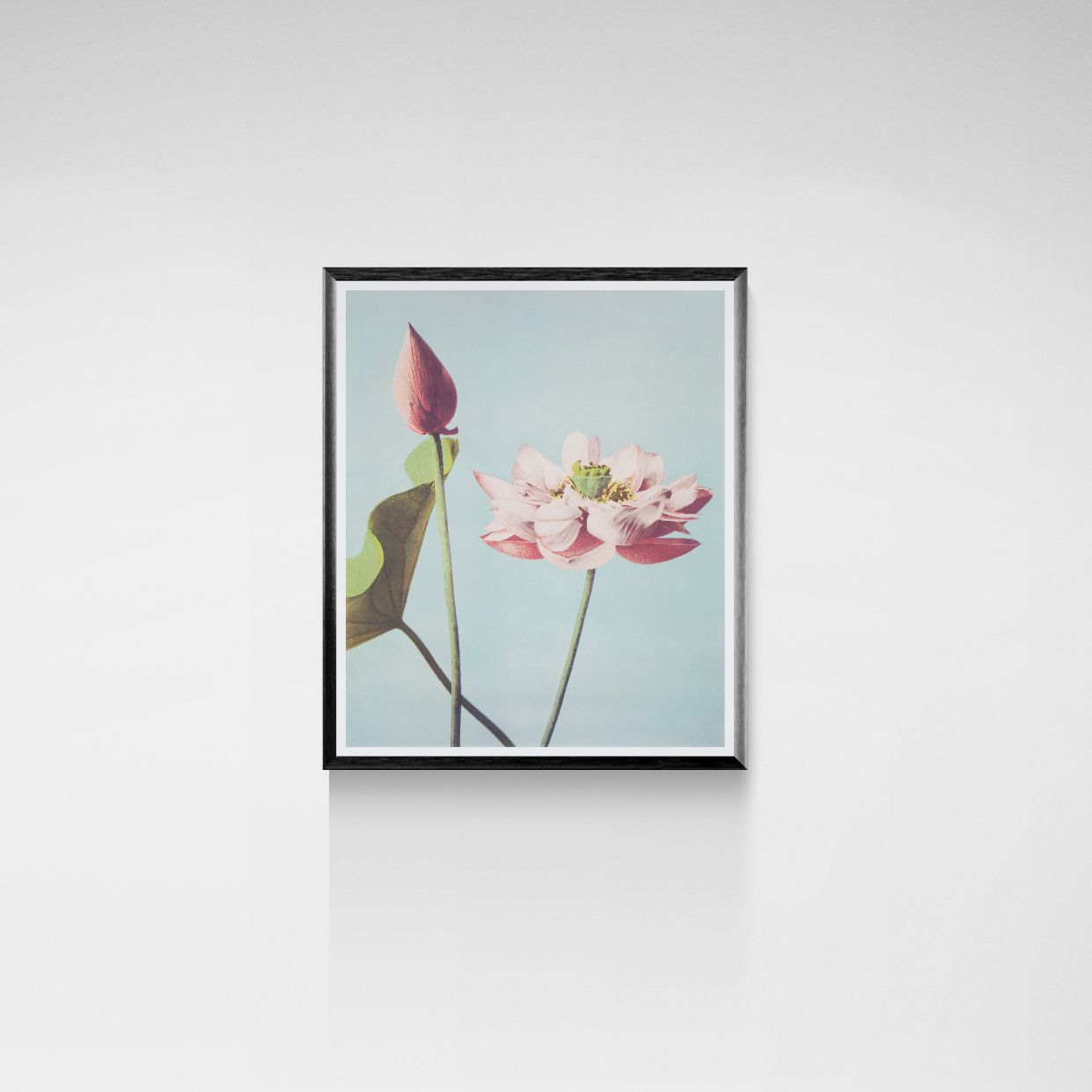 Framed artwork of a pink flower on a light blue background