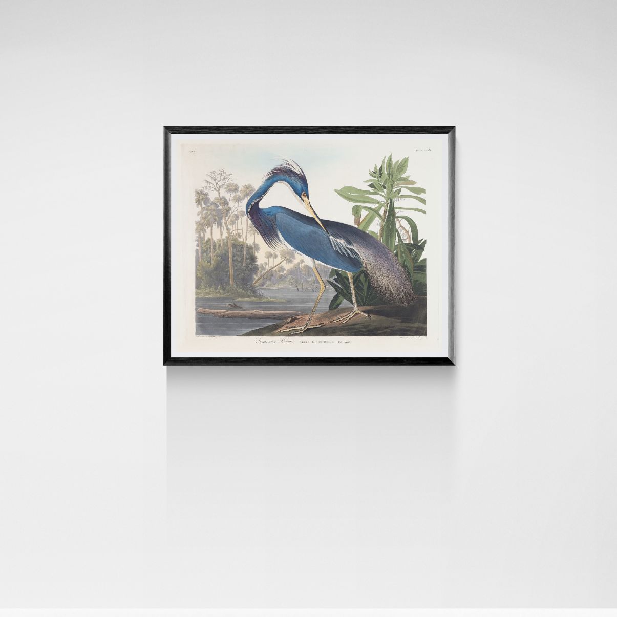 Framed artwork of a blue heron in a natural setting on a white wall.