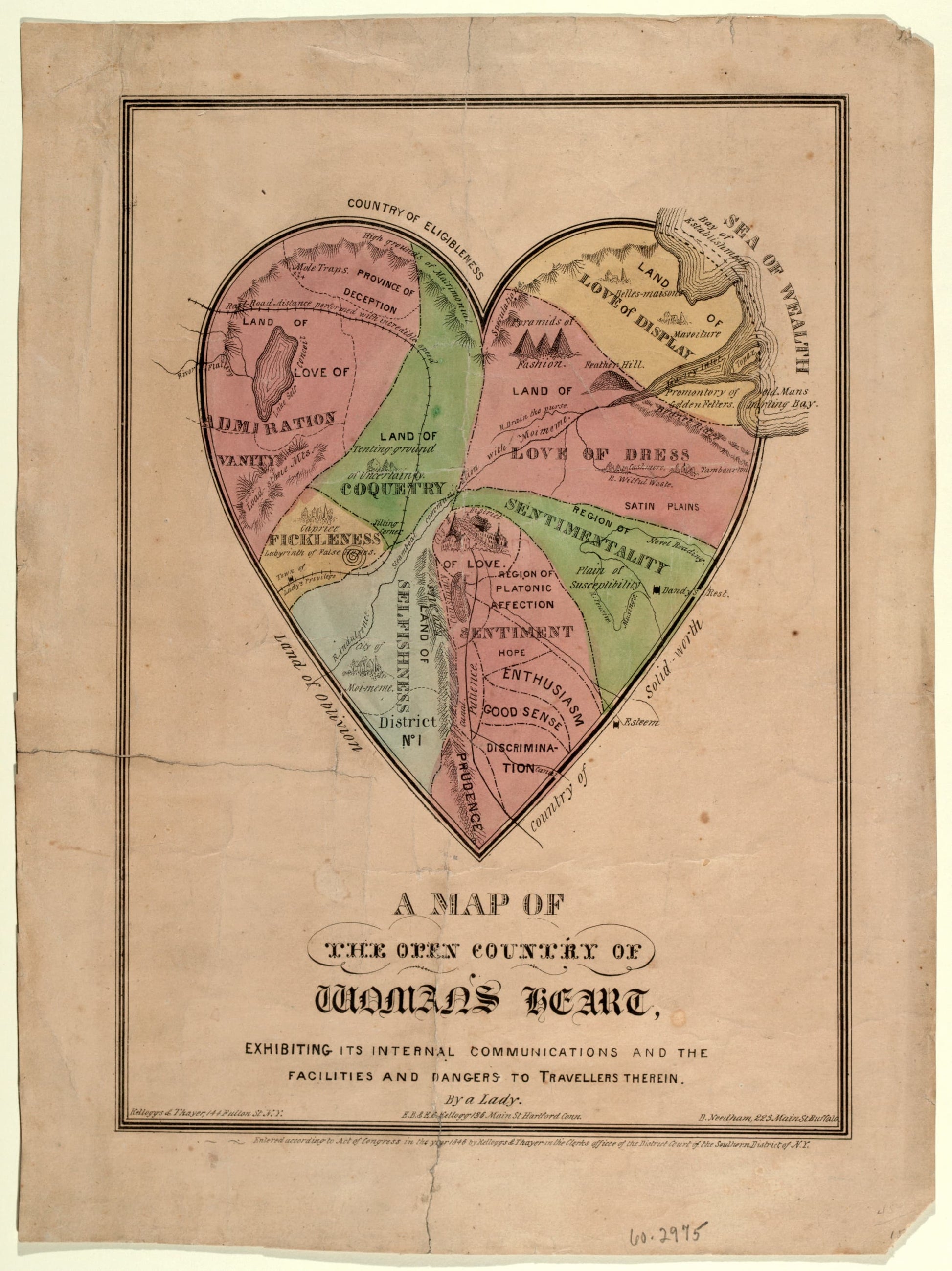 Vintage map of the female reproductive system with colored sections on a beige background