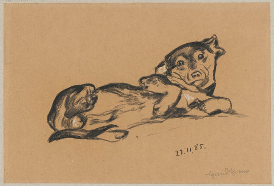 Sketch of a lying dachshund dog on a beige background