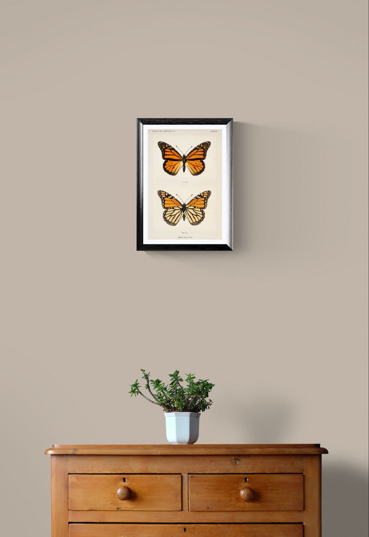 Framed artwork of two butterflies on a beige wall above a wooden dresser with a plant.
