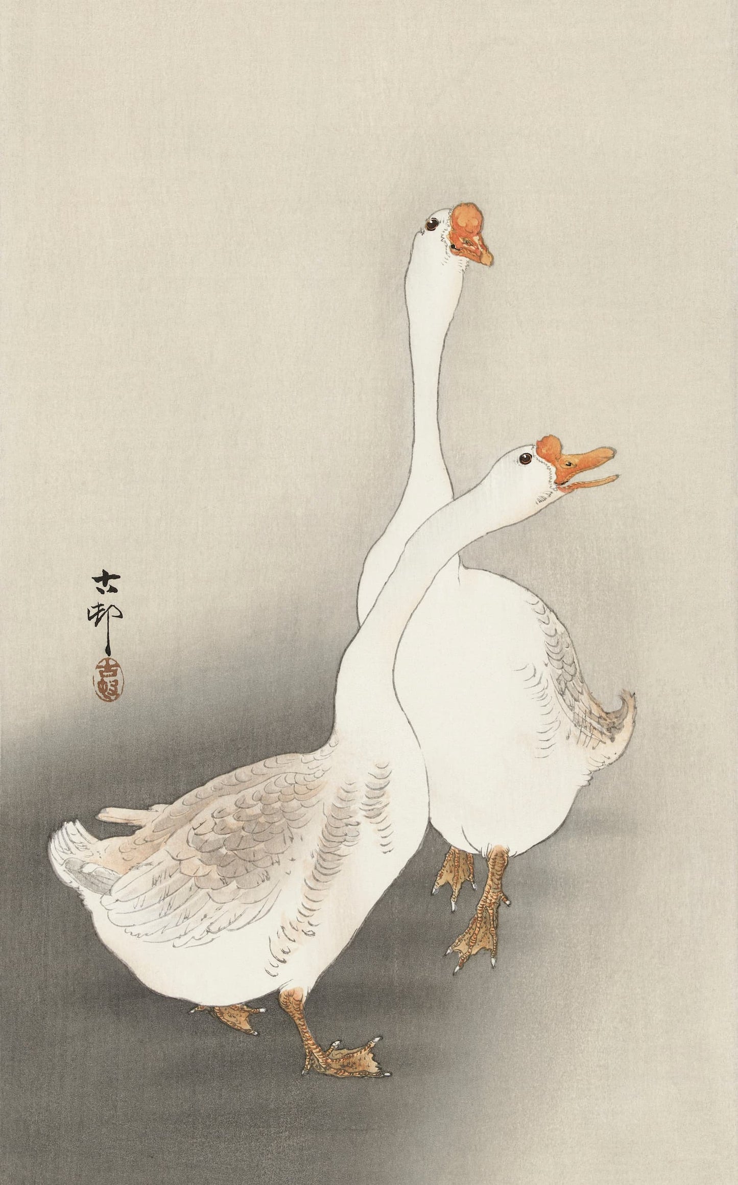Artistic depiction of two white geese on a plain background