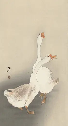 High-quality Giclée reproduction of Ohara Koson's Japanese Shin Hanga woodblock print, featuring two white geese with long necks, one with a grey wing, against a simple grey background, vintage 1900s.