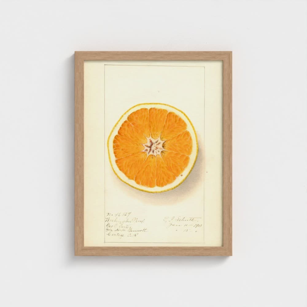 Framed artwork of a sliced orange on a white background