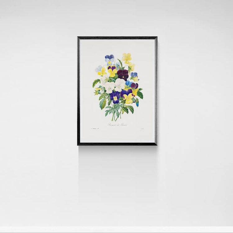 Pansy Botanical Art Print by Pierre-Joseph Redouté (19th Century)