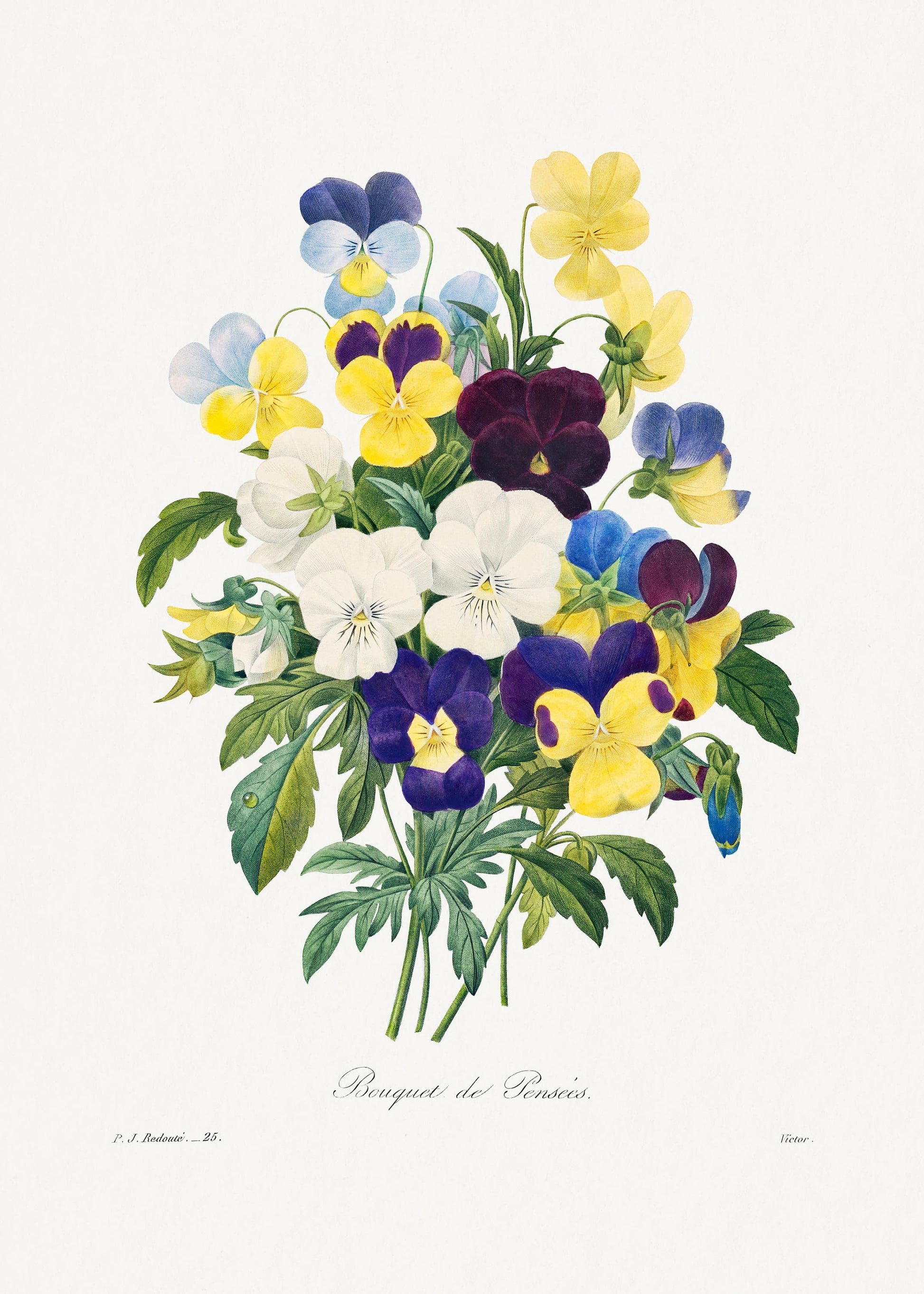 Bouquet of colorful flowers including yellow, purple, and white on a white background