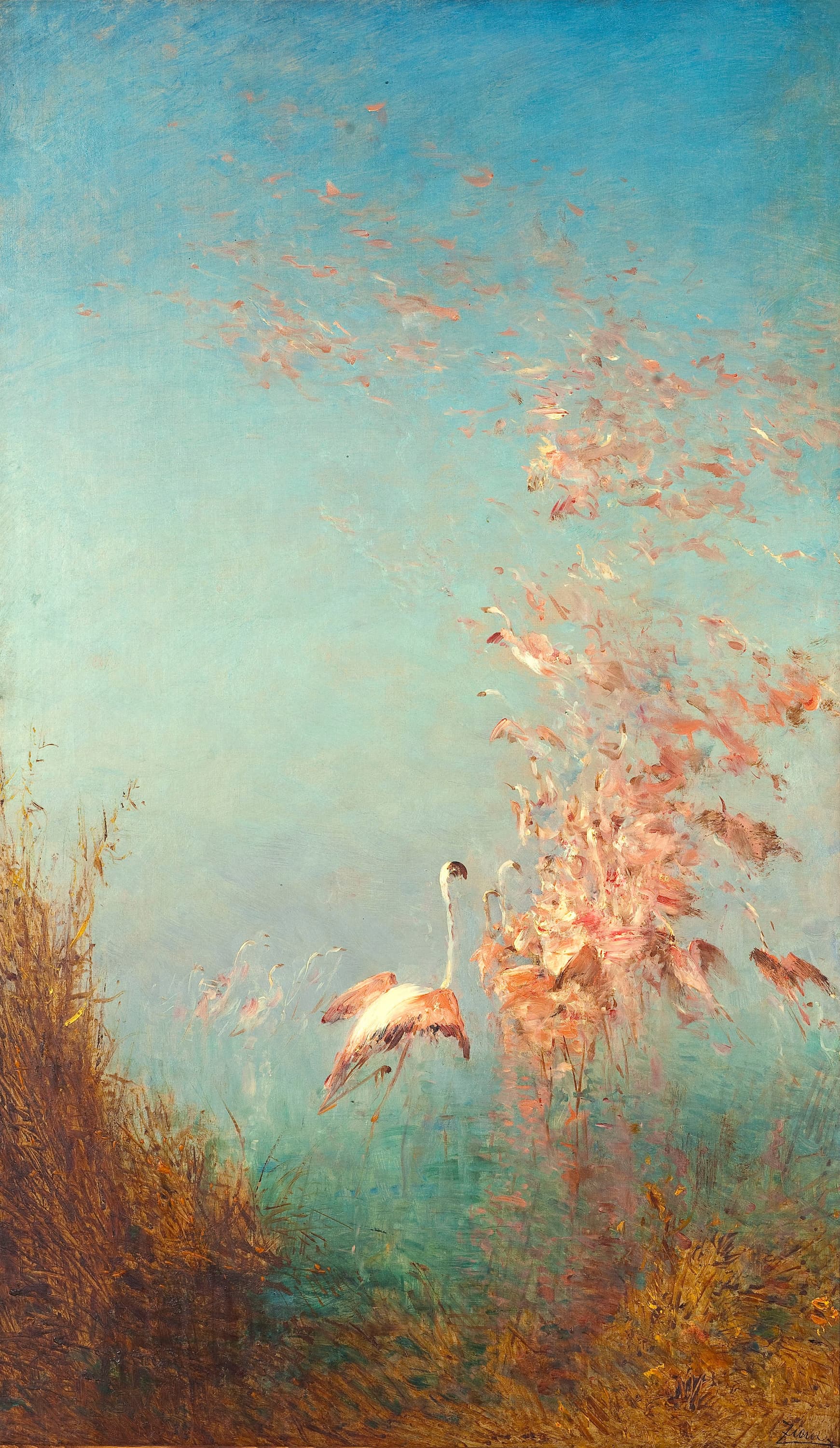 Flamingos flying up from a pond into the blue sky.