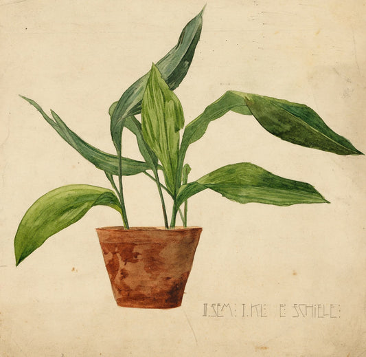 Illustration of a potted plant on beige paper