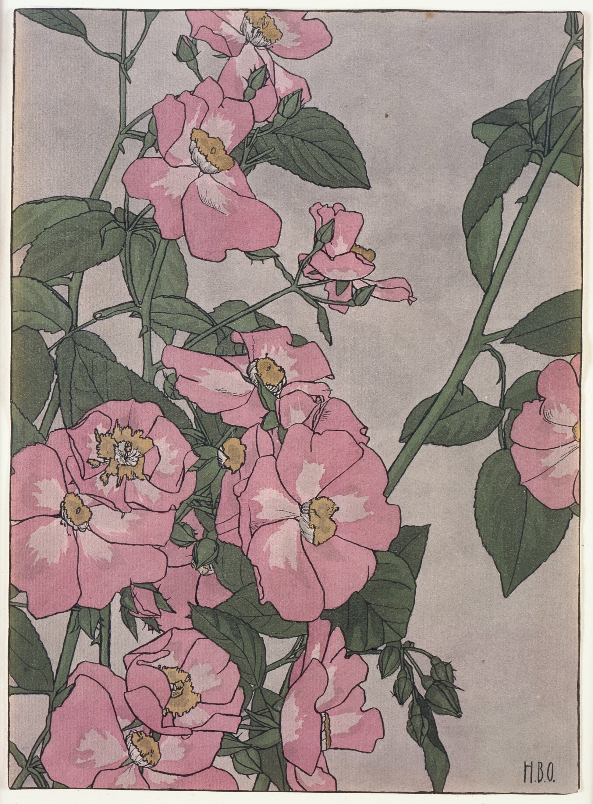 Illustration of pink flowers with green leaves on a gray background