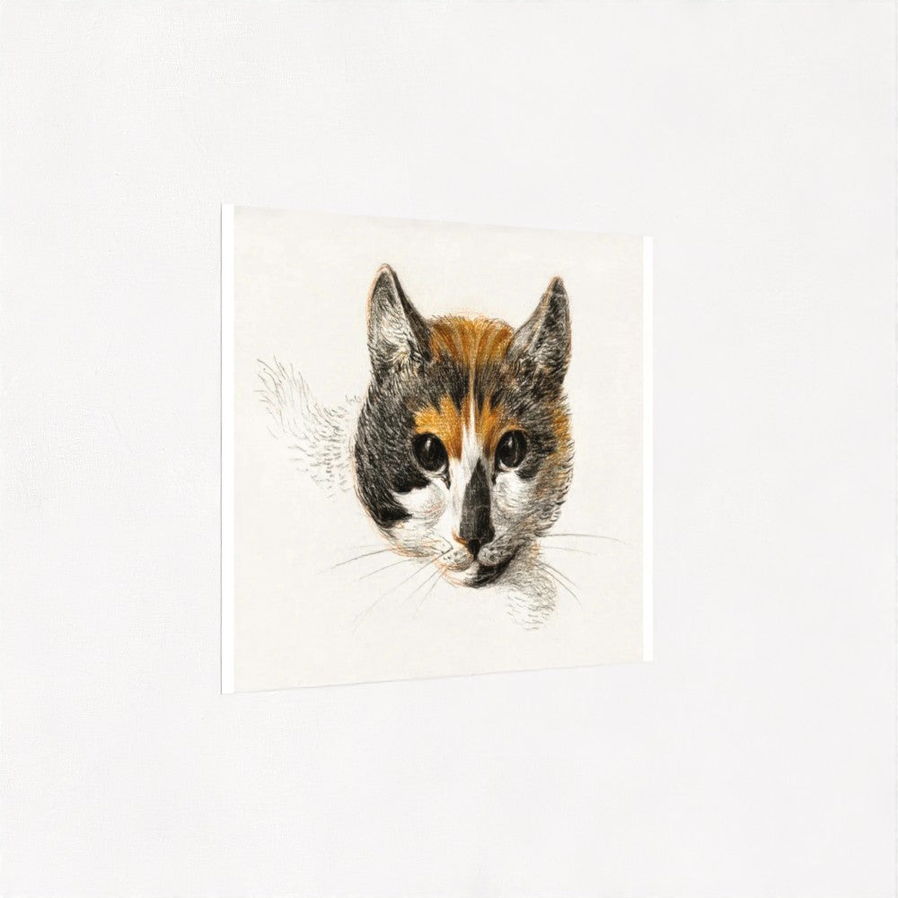 Calico cat (1800s) | Jean Bernard