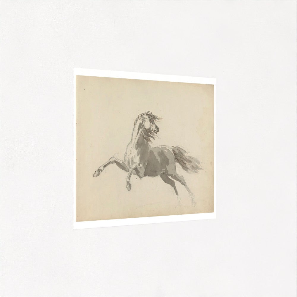 White horse from sketchbook (1700s) | Sawrey Gilpin