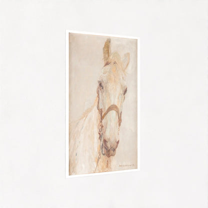 White horse (1909) | Hans Kohlschein