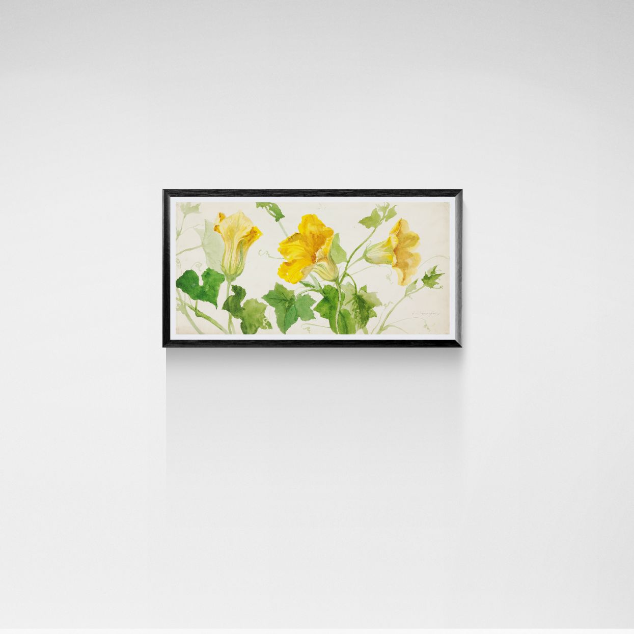 Framed botanical illustration of yellow flowers and green leaves on a white wall.