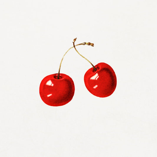 Museum-quality Giclée reproduction of a 1930s print featuring two glossy red cherry fruits on short stems against a white background. Perfect for retro or minimalist kitchen wall decor.