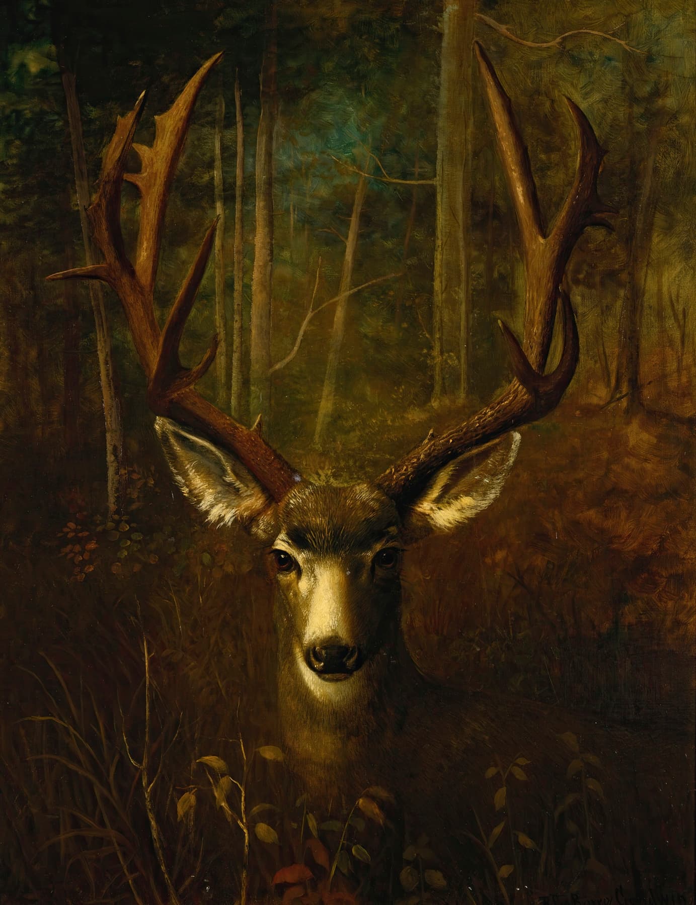 High quality Giclée reproduction of Richard La Barre Goodwin's 1900s painting, a close-up deer portrait with large antlers in a dark, atmospheric forest.