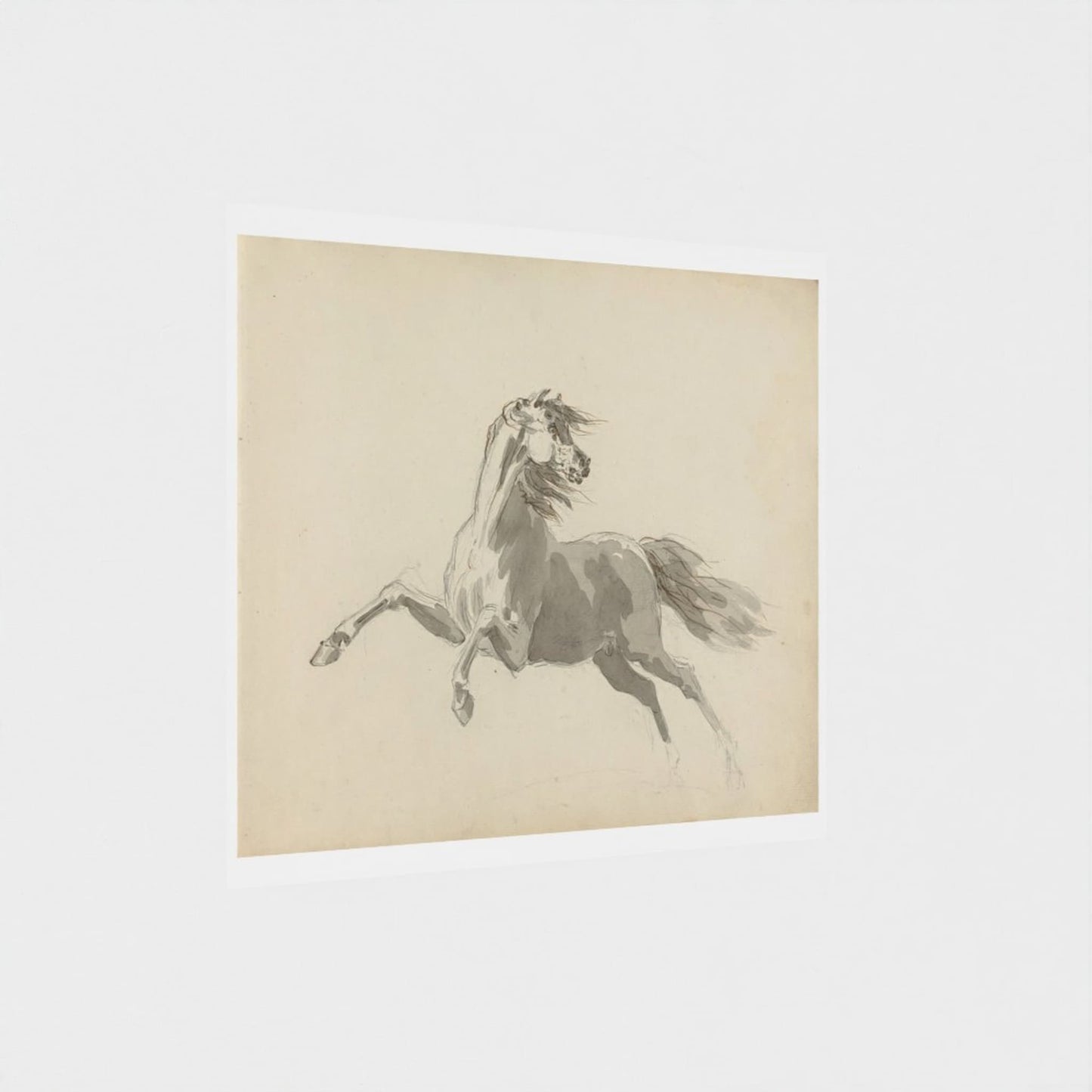 Sketch of a horse rearing on a beige background