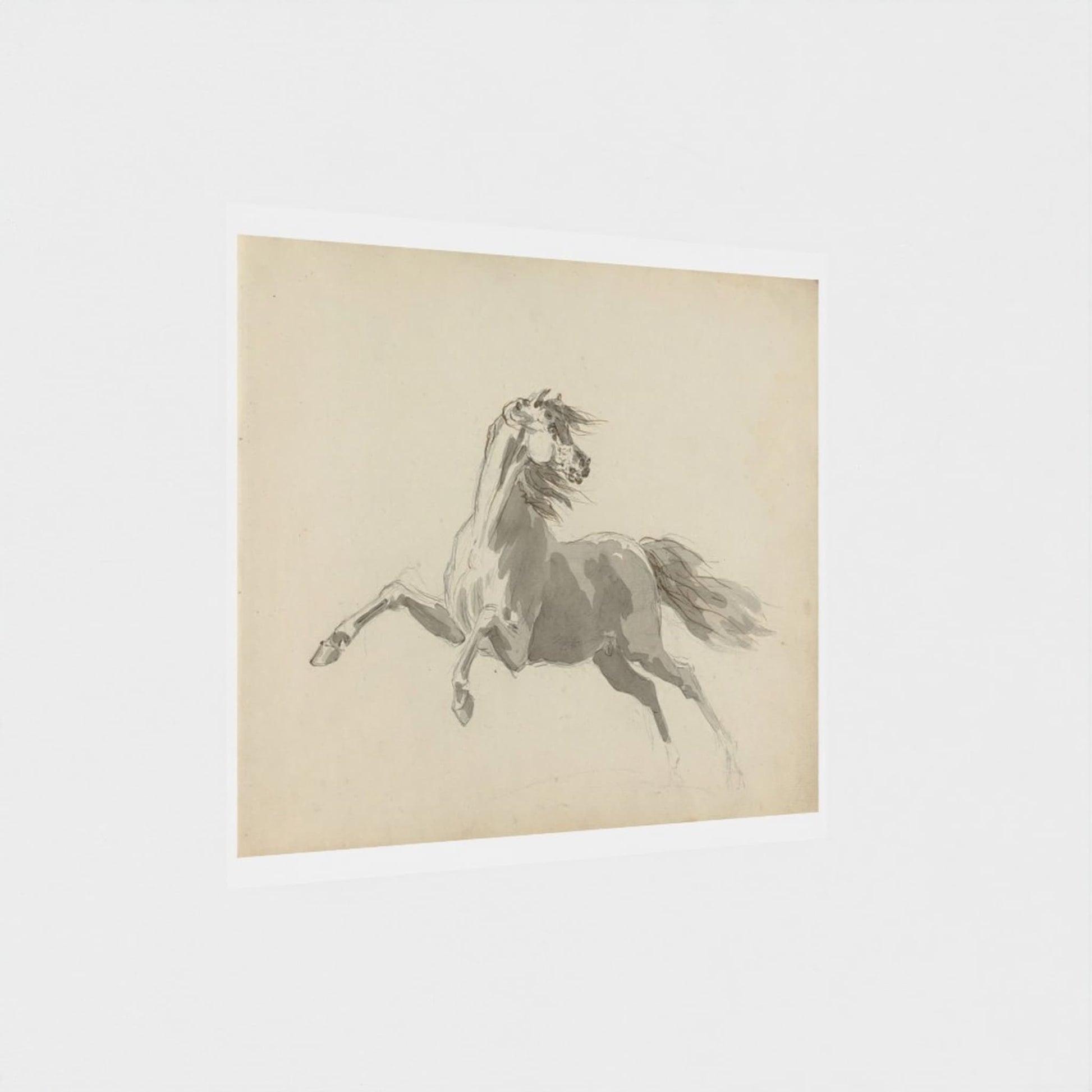Sketch of a horse rearing on a beige background