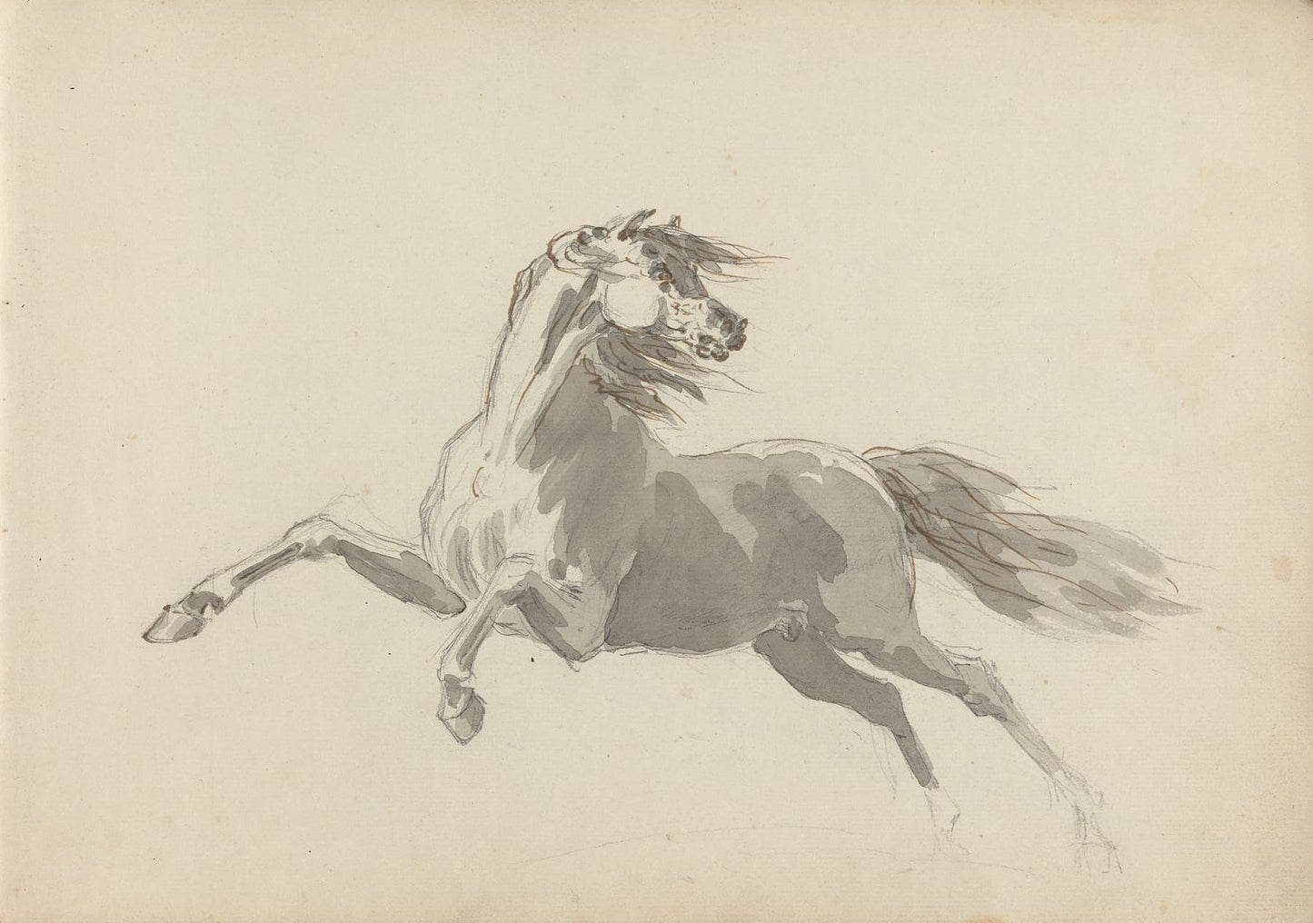 High quality Giclée reproduction of Sawrey Gilpin's 18th Century drawing of a white horse galloping, vintage British equine art.