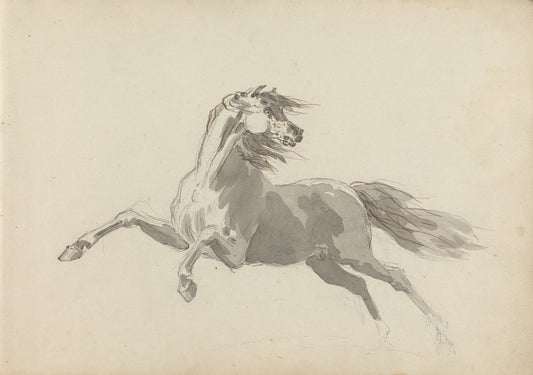 High quality Giclée reproduction of Sawrey Gilpin's 18th Century drawing of a white horse galloping, vintage British equine art.