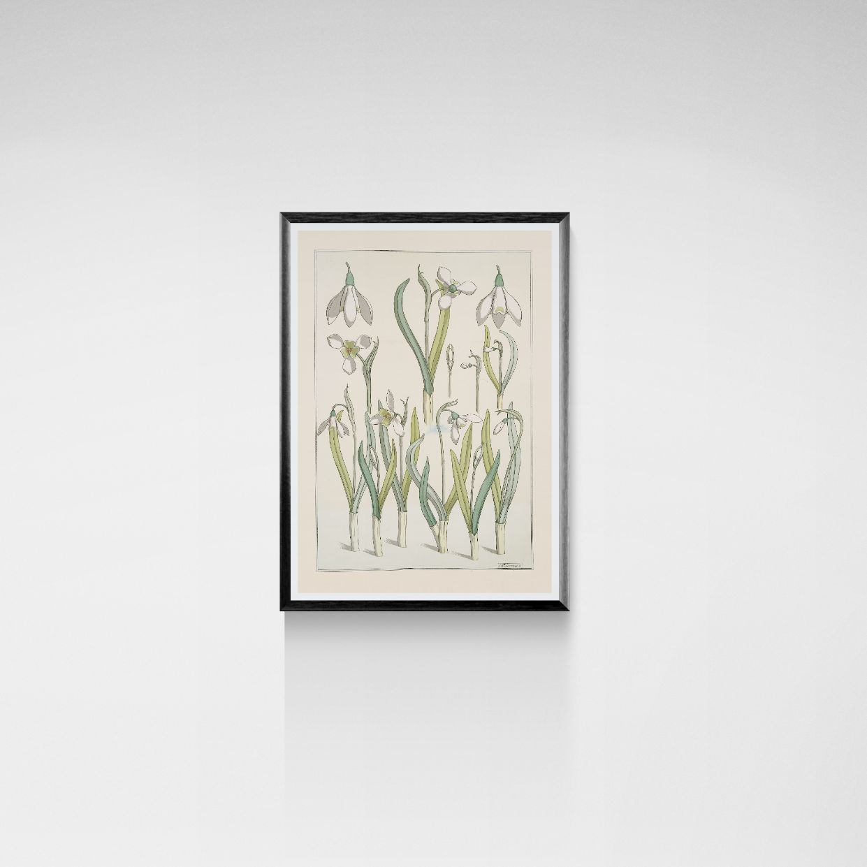 Framed botanical artwork of flowers on a white wall