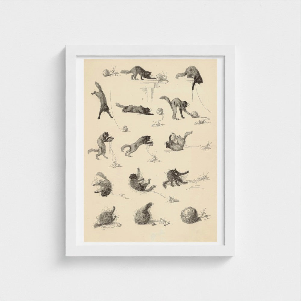 Framed artwork of black and white illustrations of a cat on a beige background