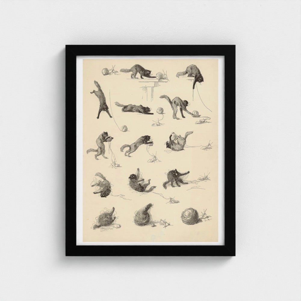 Framed artwork with illustrations of a cat in various poses on a beige background