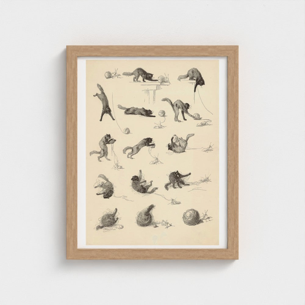 Framed artwork with illustrations of a cat on a beige background
