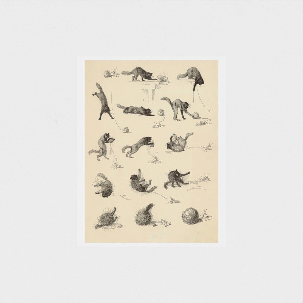 Illustration of a cat in different poses on a beige background