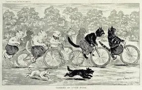 Cartoon of cats riding bicycles with dogs in the foreground
