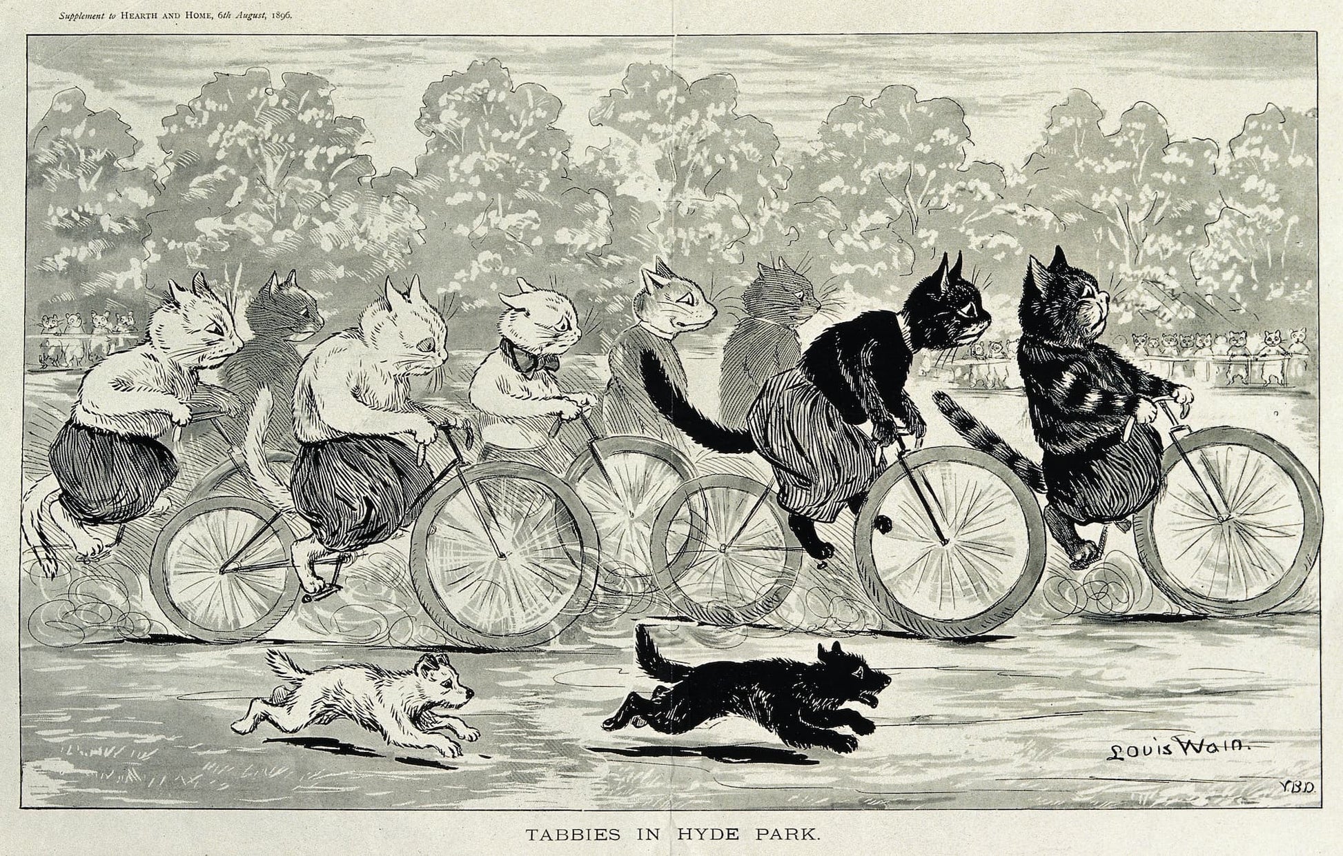 Cartoon of cats riding bicycles with a dog chasing them in Hyde Park